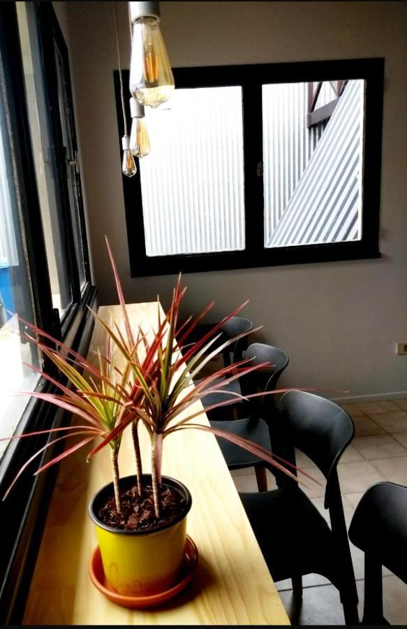 Trastienda Guest House 埃尔卡拉法特 外观 照片