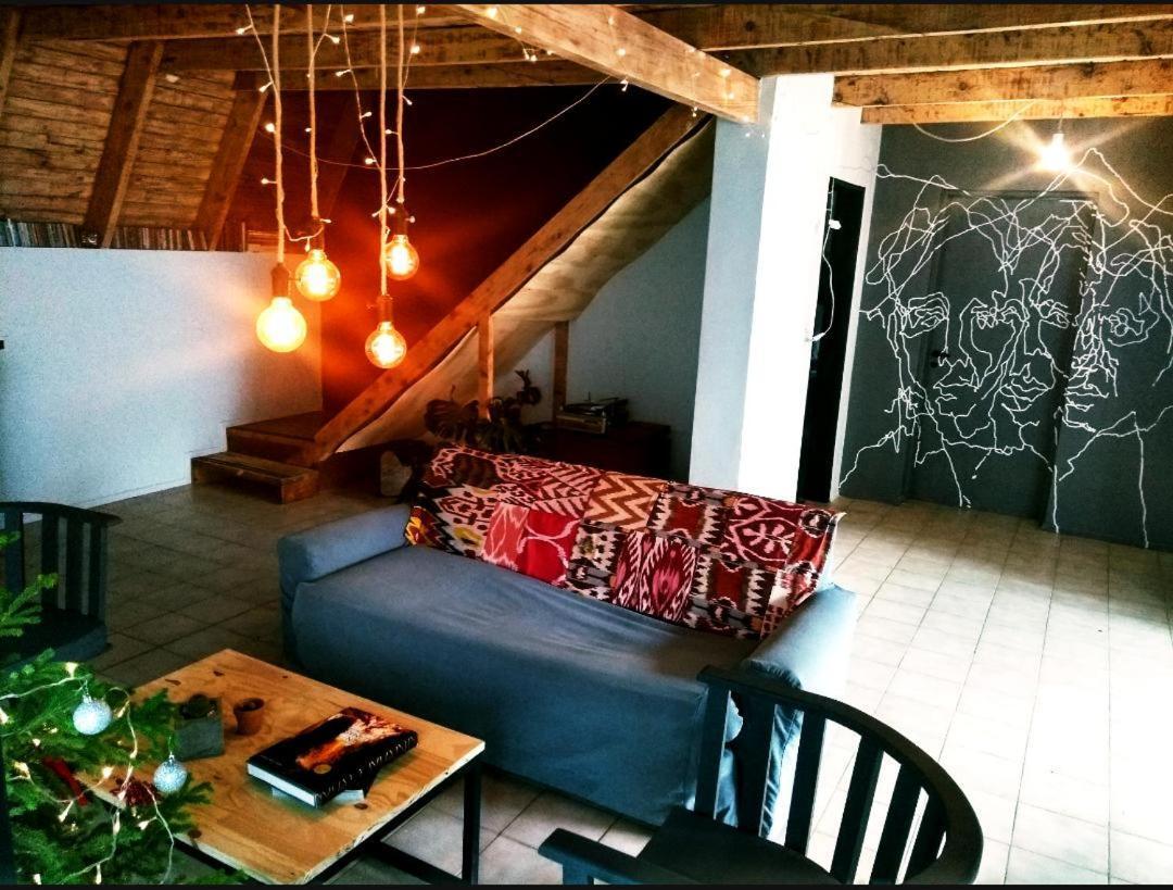 Trastienda Guest House 埃尔卡拉法特 外观 照片