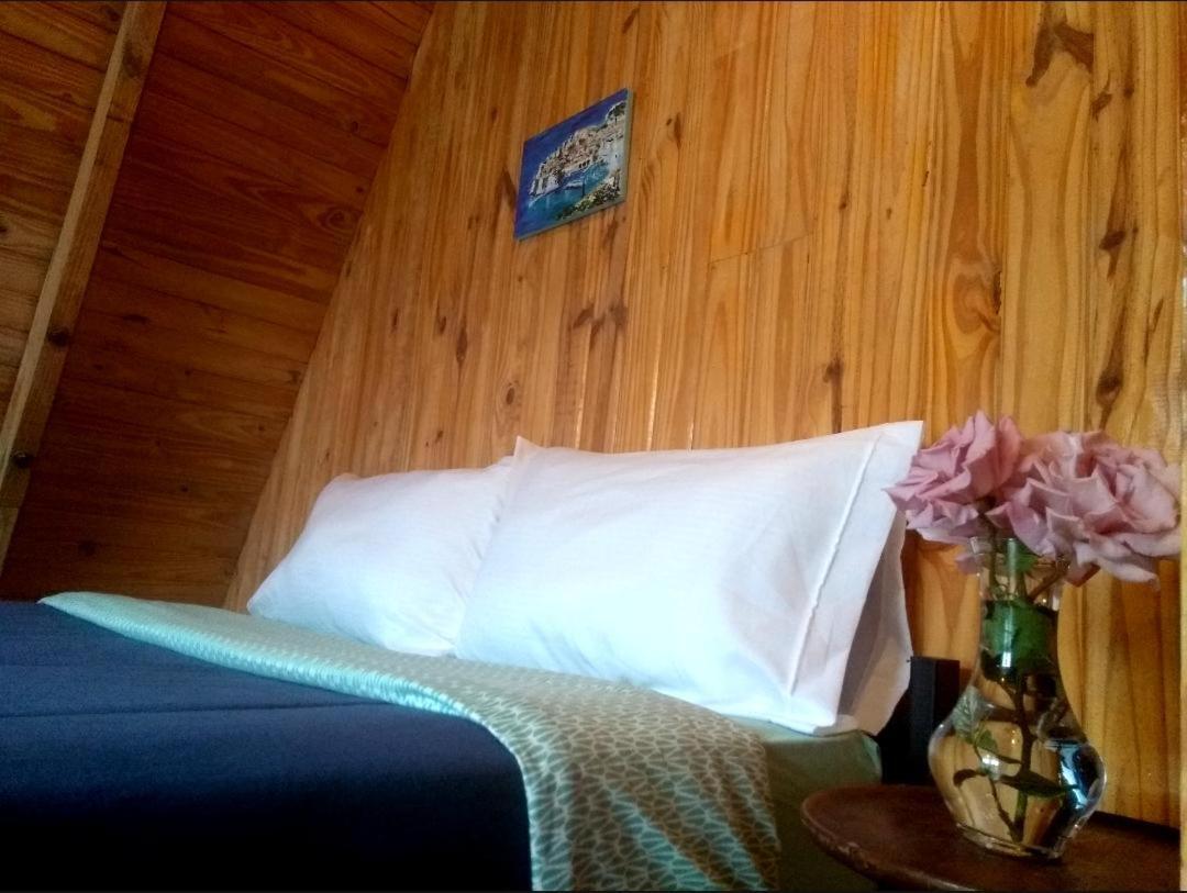 Trastienda Guest House 埃尔卡拉法特 外观 照片