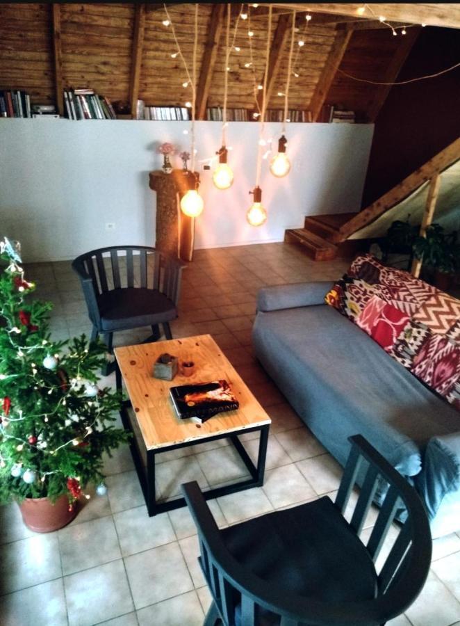 Trastienda Guest House 埃尔卡拉法特 外观 照片